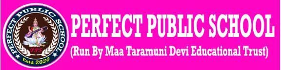 PERFECT PUBLIC SCHOOL(PPSNokha) Logo